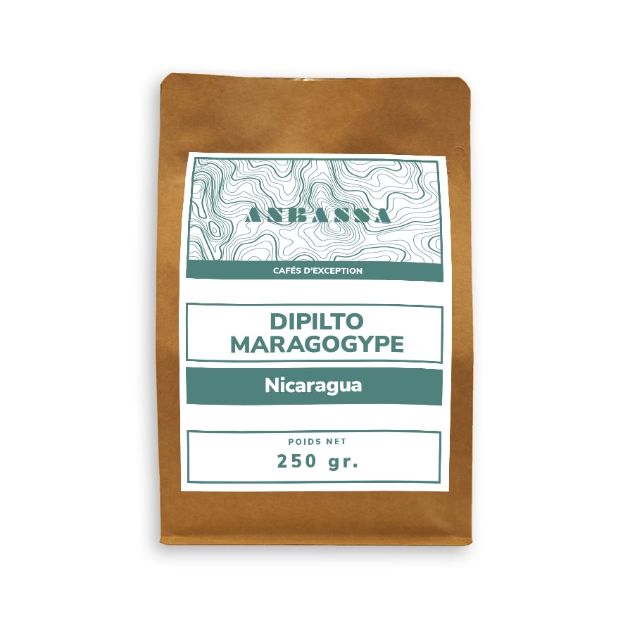 Anbassa Artisan Torrefacteur Cafe Exception Dipilto Maragogype Nicaragua Min